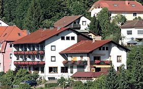 Aparthotel Schwarzwald Panorama